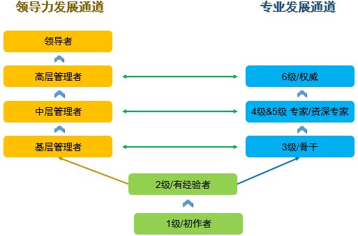 人力资源-职级-双通道.jpg